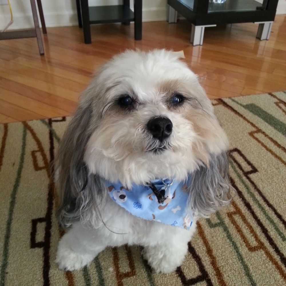 Meet your Posher, Jill